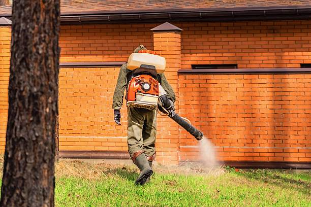 Bed Bug Clearance Verification and Documentation in Port O'Connor